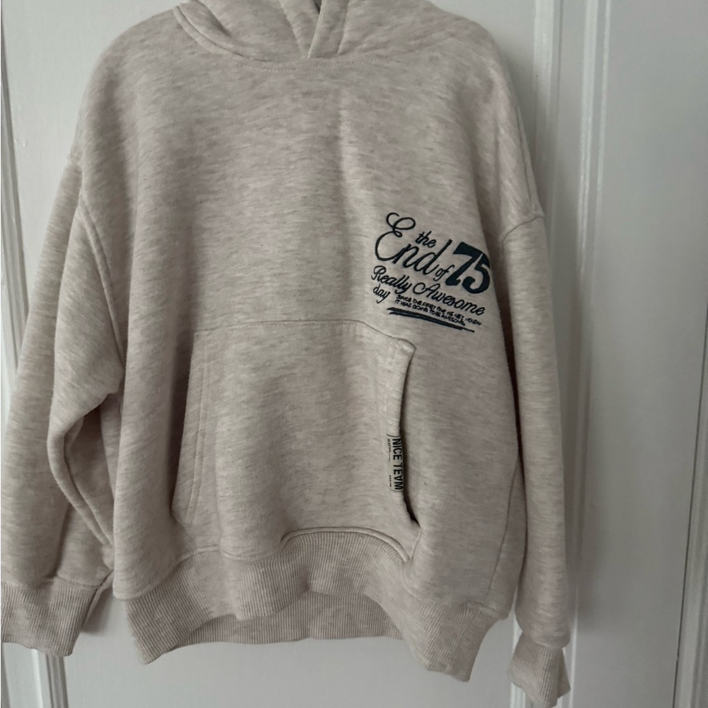Boys Zara Beige Hoodie Sweater